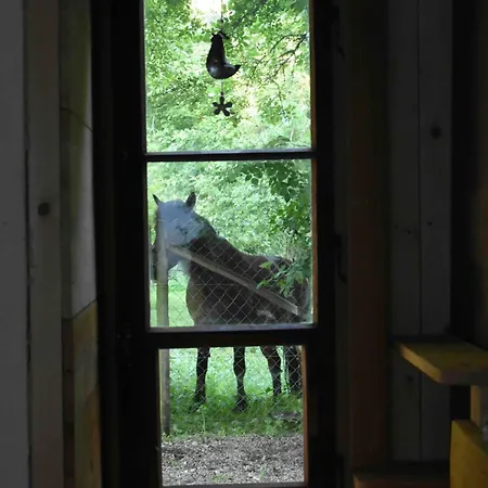 Gite Equestre Au Village 45 Fontenais Exterior foto