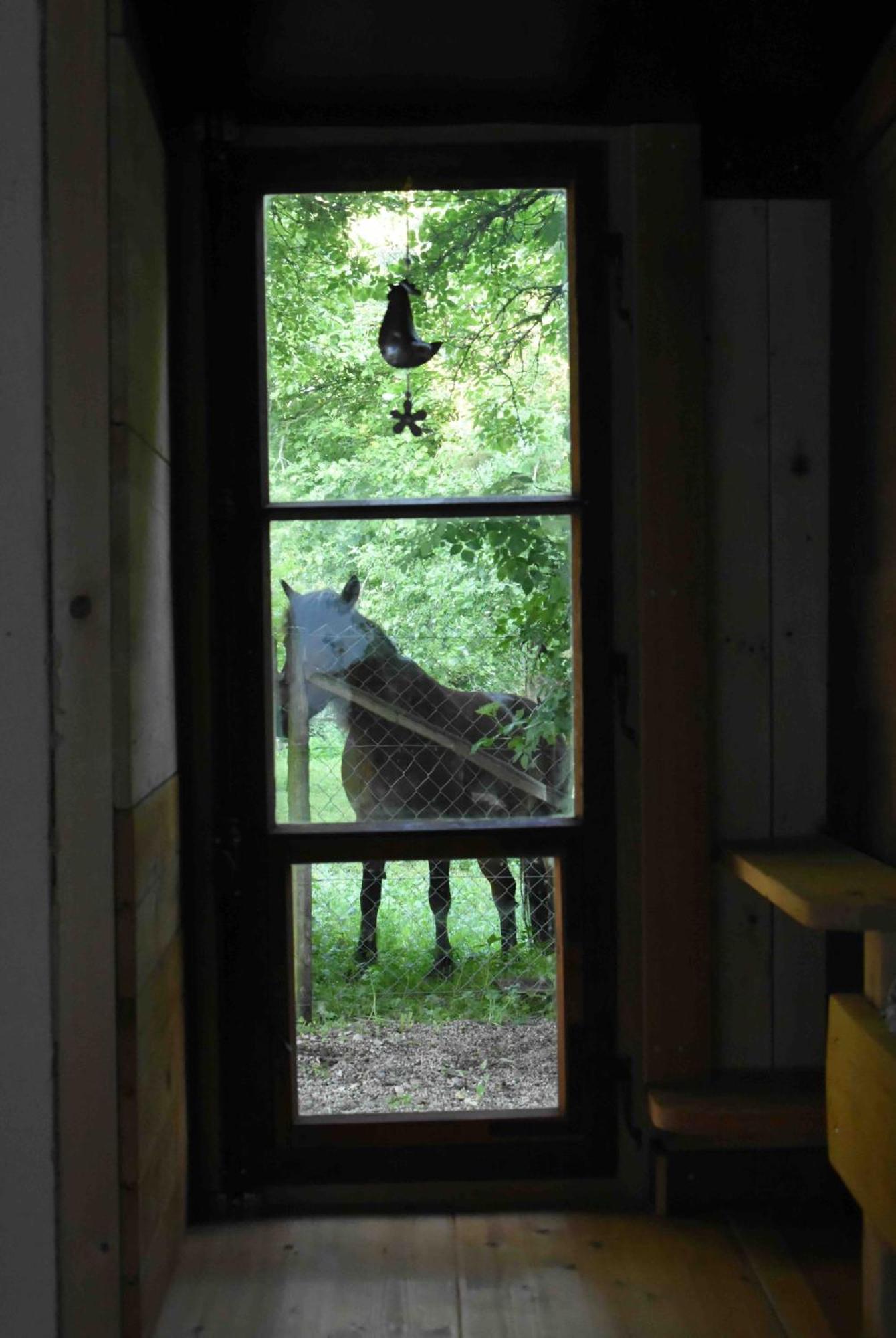 Equestre Au Village 45 Country house *
