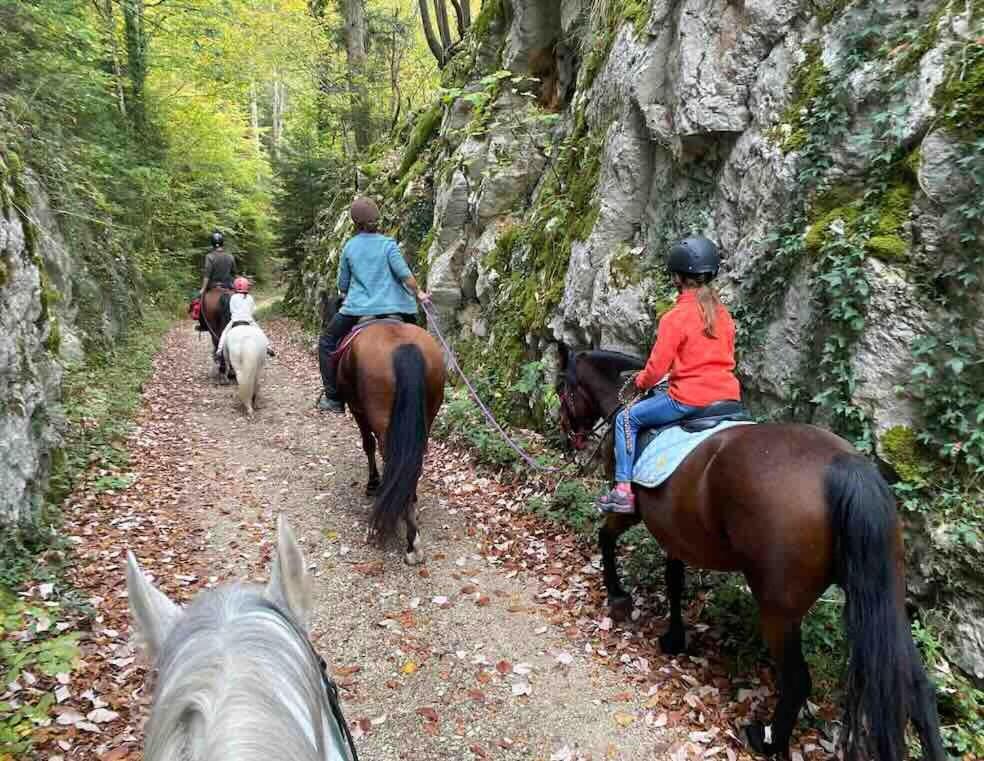 Equestre Au Village 45