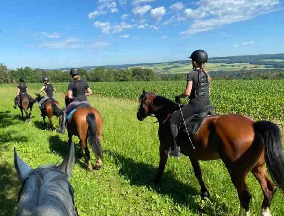 Equestre Au Village 45 Fontenais